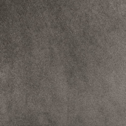 323052  Dining Chairs 2 pcs Light Grey Velvet